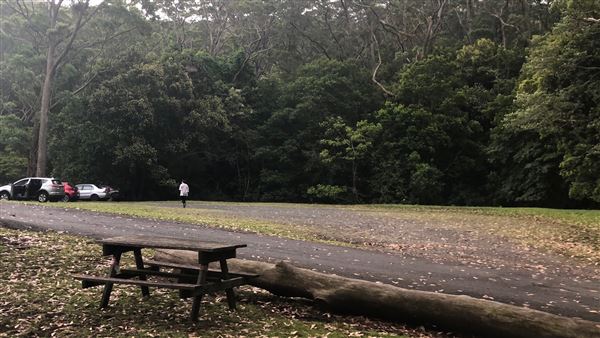 Otford Farm - Horse Farm (19/11/2019 - Credits: Screen NSW)