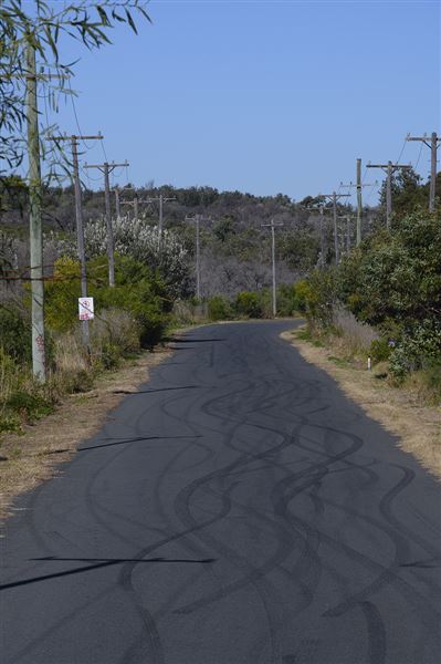 Sir Joseph Banks Drive (17/10/2019)