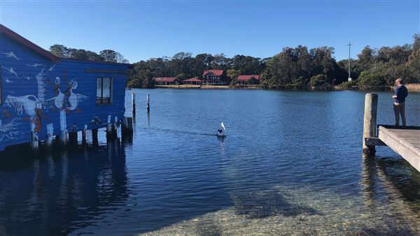 Sussex Inlet (9/07/2020 - Credits: Shannon Wheeler)