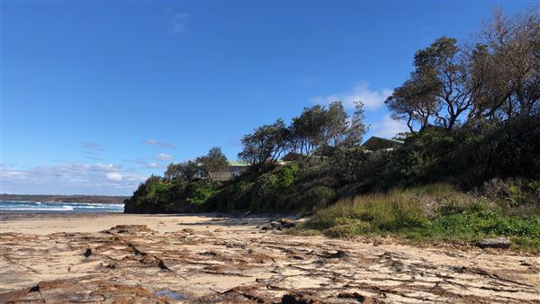 Berrara Beaches (7/07/2020 - Credits: Shannon Wheeler)