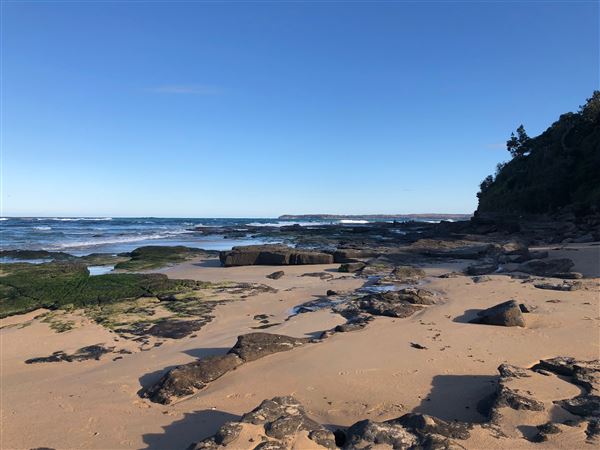 Berrara Beaches (7/07/2020 - Credits: Shannon Wheeler)