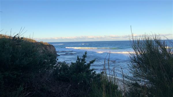 Berrara Beaches (7/07/2020 - Credits: Shannon Wheeler)