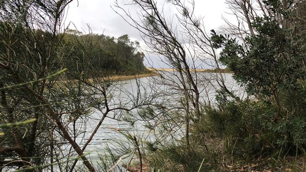 Swan Lake Inlet - Cudmirrah Beach (8/07/2020 - Credits: Shannon Wheeler)