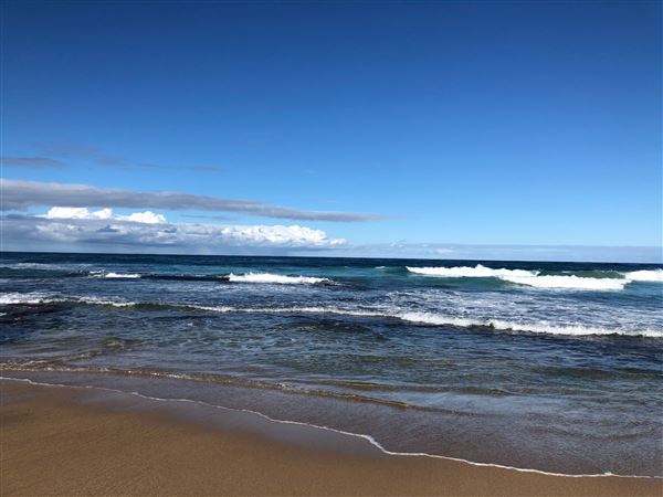 Swan Lake Inlet - Cudmirrah Beach (8/07/2020 - Credits: Shannon Wheeler)