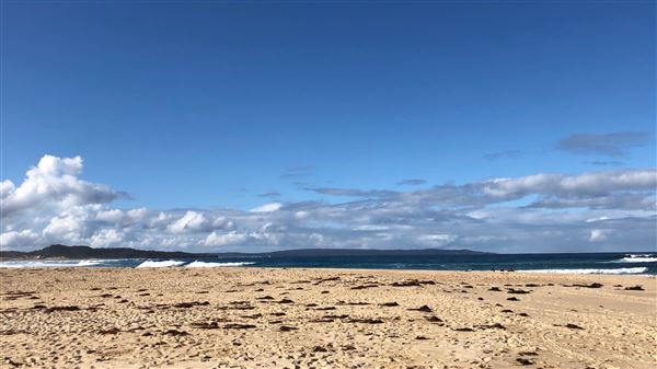 Swan Lake Inlet - Cudmirrah Beach (8/07/2020 - Credits: Shannon Wheeler)
