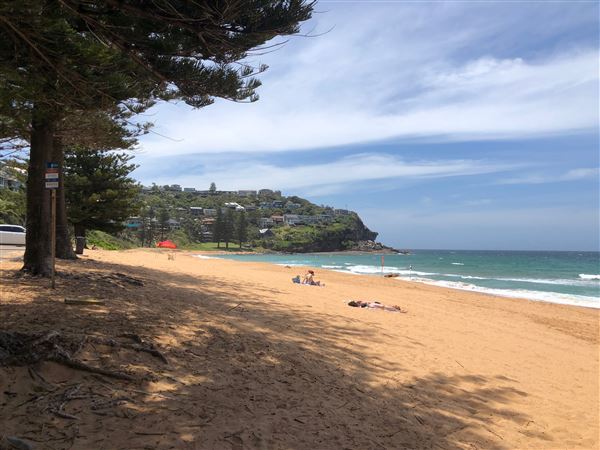 Whale Beach (20/11/2020 - Credits: Screen NSW)