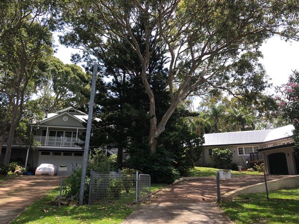 Avalon Beach (20/11/2020 - Credits: Screen NSW)