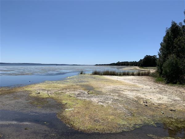 Watkins Jetty Long Jetty (10/10/2020 - Credits: Screen NSW Mechele Axford)