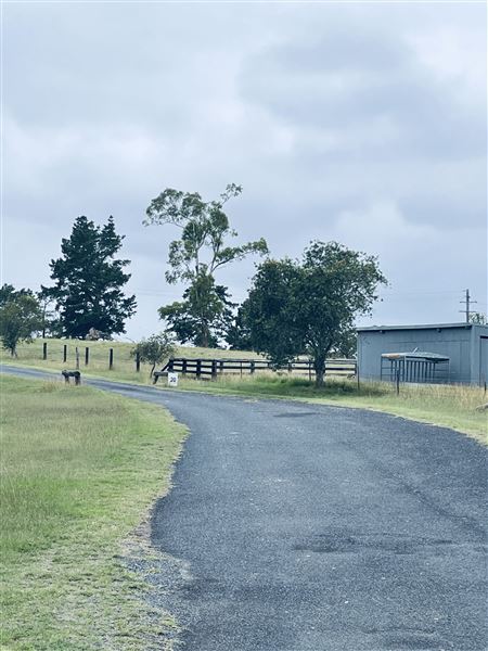 Tobruk Sheep Station - Shearing Shed & Event Venue (23/02/2021 - Credits: Cheryl Conway)