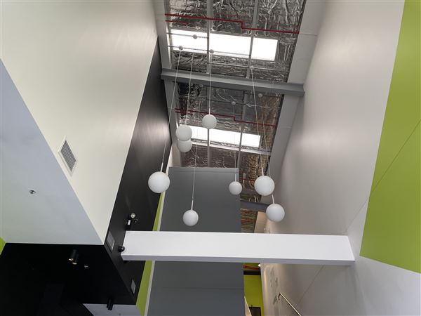 Open Plan Office space Lidcombe (networked) -  Short term leases available up until end of 2022 (8/03/2021 - Credits: Screen NSW Mechele Axford)