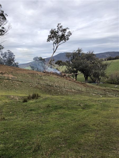 Private Property - Tumbarumba, NSW (1/06/2020 - Credits: Derek Smith)