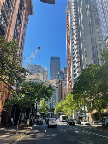 Sydney CBD - Elizabeth Street (17/10/2021 - Credits: Cheryl Conway)