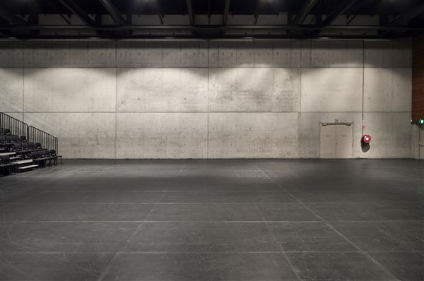 Carriageworks Venues (1/12/2021 - Credits: Carriageworks)
