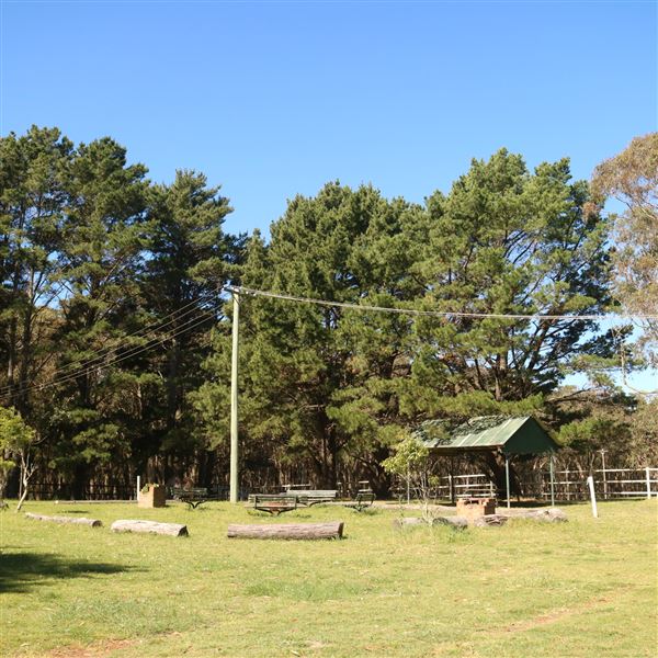 Darkes Forest Ranch (17/11/2022)