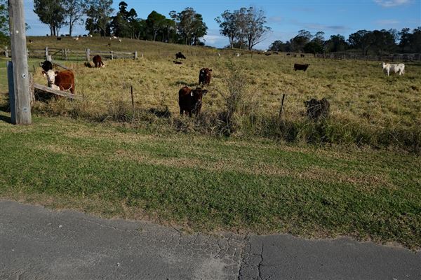 Belgenny Farm (12/04/2023 - Credits: Screen NSW)