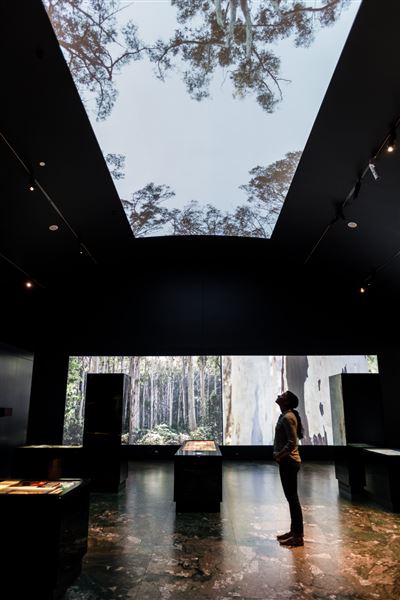 Blue Mountains Cultural Centre (1/04/2023 - Credits: Cloudherd)