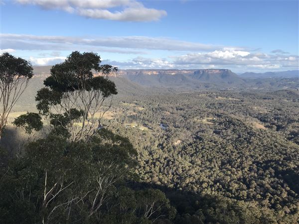 Hargraves Lookout (17/05/2023 - Credits: Julie Miller)