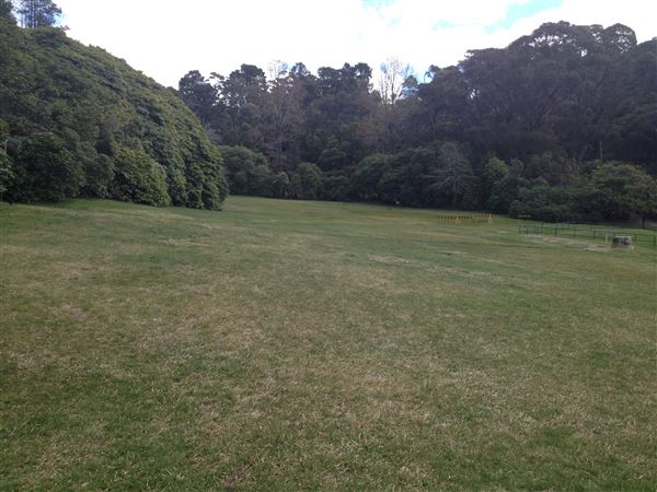 Blackheath Memorial Park (17/05/2023 - Credits: BMCC)