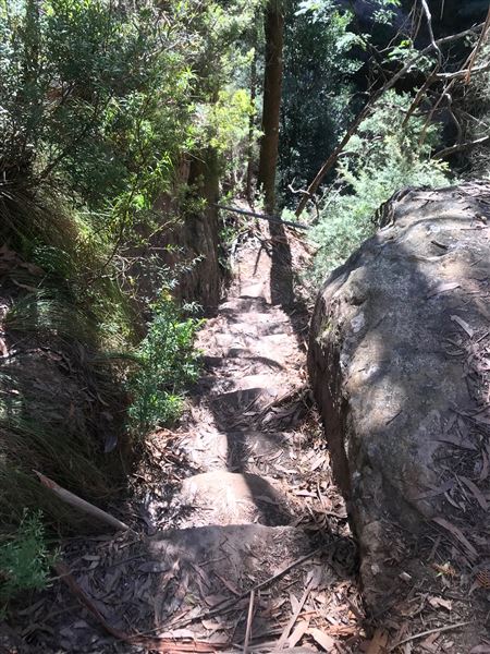 Centennial Glen Walking Track (22/05/2023 - Credits: BMCC)