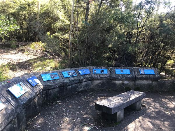 The Gully Aboriginal Place (24/05/2023 - Credits: BMCC)