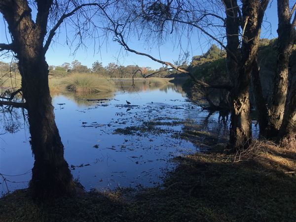 Glenbrook Lagoon (24/05/2023 - Credits: BMCC)