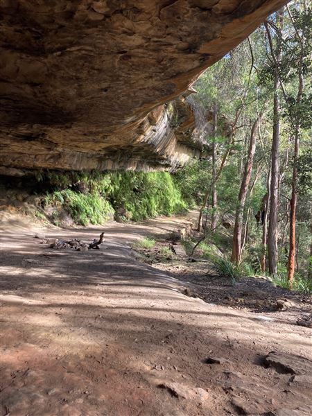 King's Cave (31/05/2023 - Credits: BMCC)