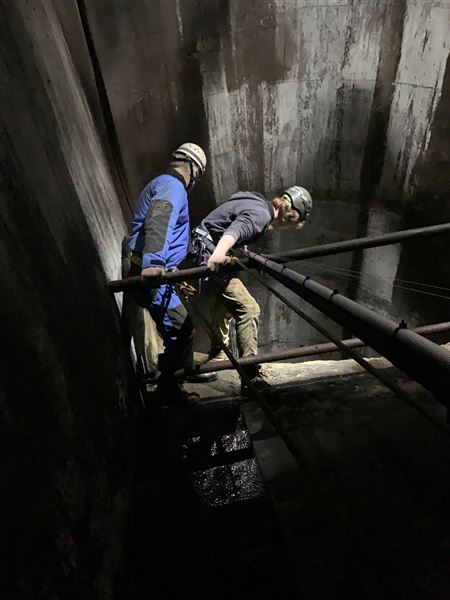 Birdsong Bower - Disused Coal Mine (1/05/2023 - Credits: Brooke Lazarevic)