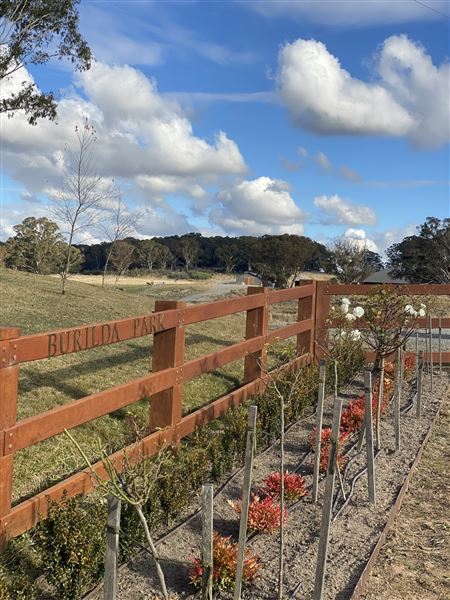Burilda Park (13/07/2023 - Credits: submitted by: Alex Cragg)