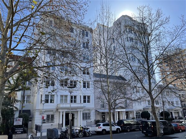 Potts Point (11/08/2023 - Credits: Screen NSW)