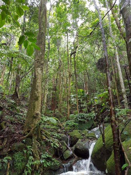 Mt Hay Retreat (7/07/2016 - Credits: Mt Hay Retreat)
