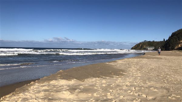 Nambucca Heads Swimming Creek (9/10/2020 - Credits: Shannon Wheeler)