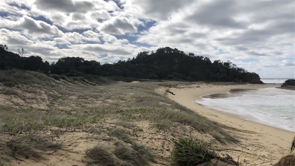 Nambucca Heads (9/10/2020 - Credits: Shannon Wheeler)
