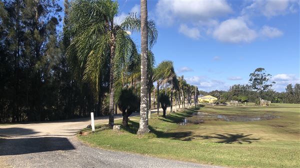 Nambucca Heads (9/10/2020 - Credits: Shannon Wheeler)
