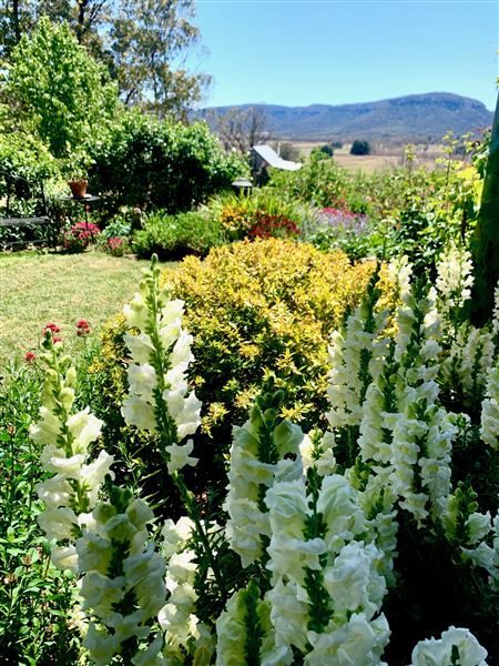 Hartvale Gardens and Cottage (30/10/2023 - Credits: Jennifer Edwards)