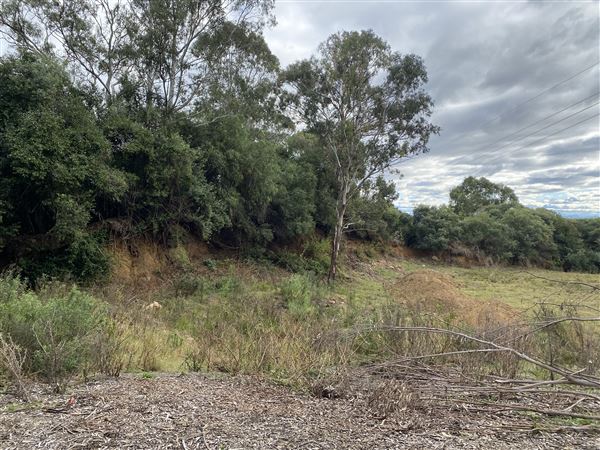 Former Prospect Quarry - Sydney Water Corporation Site (1/07/2022 - Credits: Phillip Roope)