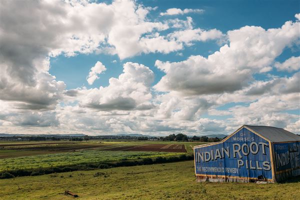 Indian Root Pills Tin Shed (28/10/2021 - Credits: Maitland City Council)