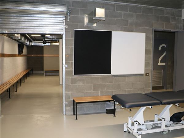 Maitland Regional Sportsground (9/05/2019 - Credits: Maitland City Council)