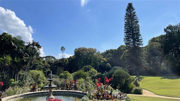Vaucluse House (27/03/2024 - Credits: Shannon Wheeler)