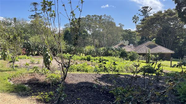 Vaucluse House (27/03/2024 - Credits: Shannon Wheeler)