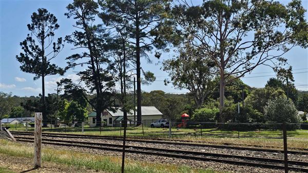 Buxton NSW (30/01/2024 - Credits: K McGuinness)