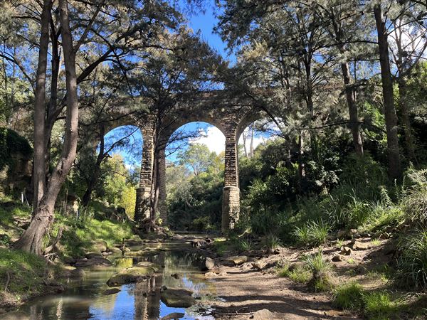 Stonequarry Creek Railway Viaduct (9/06/2024 - Credits: Kim McGuinness & Kersti Martin)
