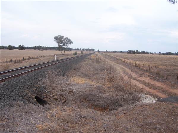 Dubbo (surrounds) (25/02/2013 10:03:19 AM)