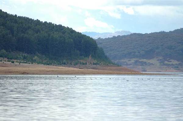 Blowering Dam & Reservoir (26/02/2013 3:19:11 PM)