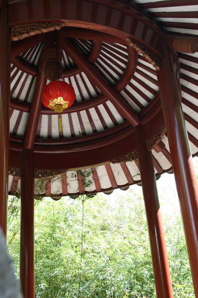 Chinese Garden of Friendship - Darling Harbour (27/02/2013 1:33:16 PM)