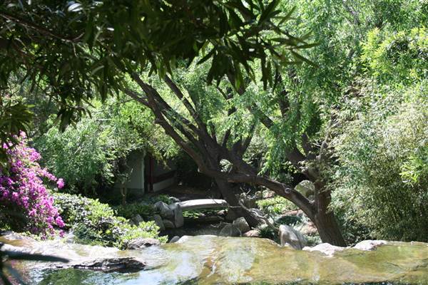 Chinese Garden of Friendship - Darling Harbour (27/02/2013 1:35:25 PM)