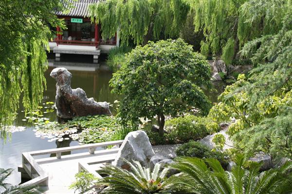 Chinese Garden of Friendship - Darling Harbour (27/02/2013 1:36:31 PM)