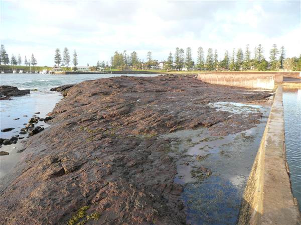 Kiama - Rock Pool North (27/02/2013 4:55:08 PM)