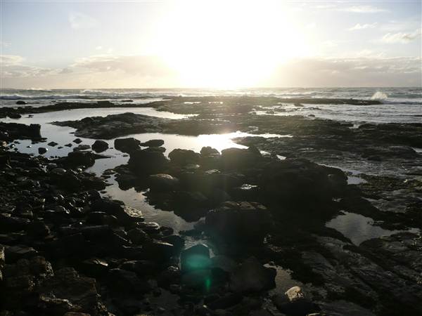 Kiama - Rock Pool North (27/02/2013 4:56:42 PM)