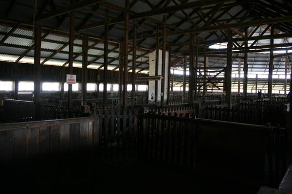 Deeargee Woolshed (27/02/2013 7:49:31 PM)