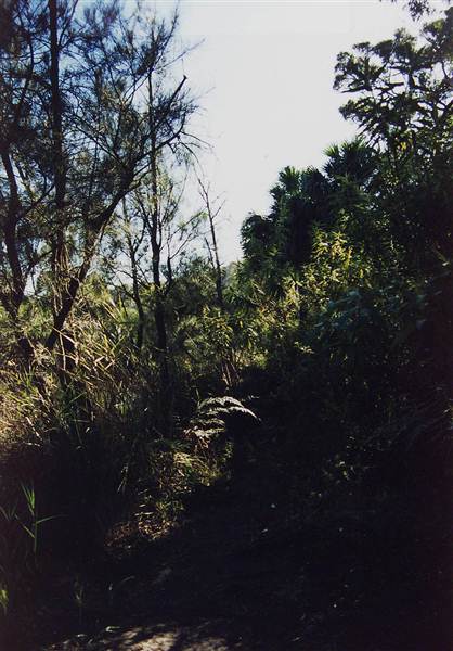 Deep Creek Reserve (27/02/2013 8:31:34 PM)